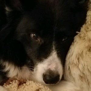 Meet your Posher, Kendell